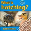 What Is Hatching? What Is Hatching?