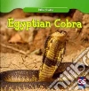 Egyptian Cobra Egyptian Cobra