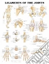 Ligaments Of The Joints Chart Ligaments Of The Joints Chart