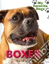 Boxer Boxer