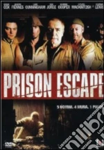 Prison Escape