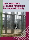The criminalization of irregular immigration: law and practice in Italy The criminalization of irregular immigration: law and practice in Italy